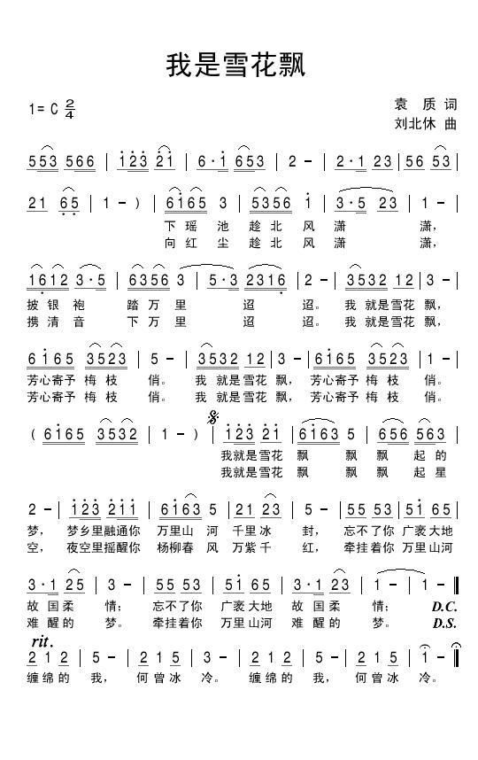 我是雪花飘(1).jpg