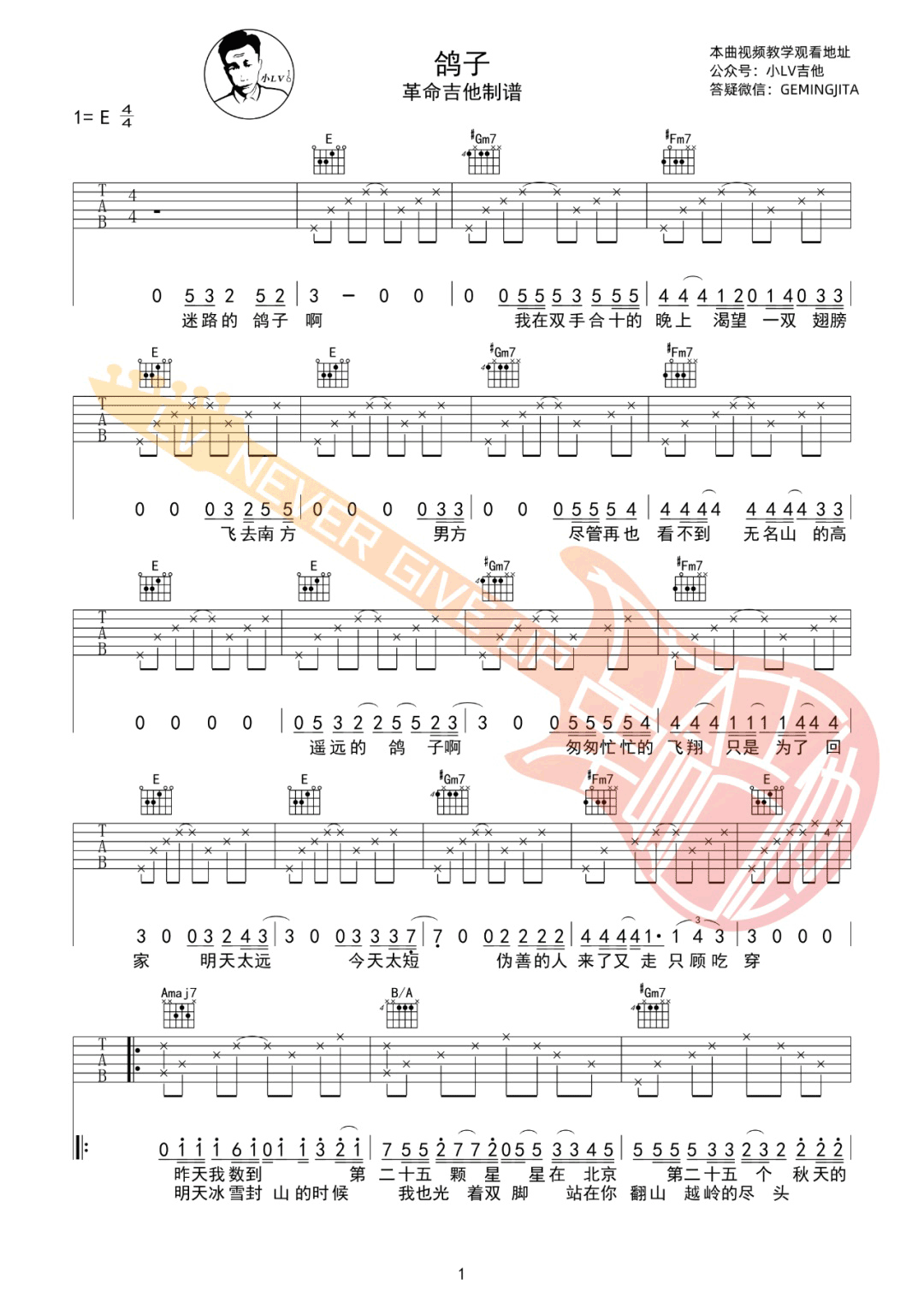 鸽子吉他谱_宋冬野_E调扫弦指法原版-图片1
