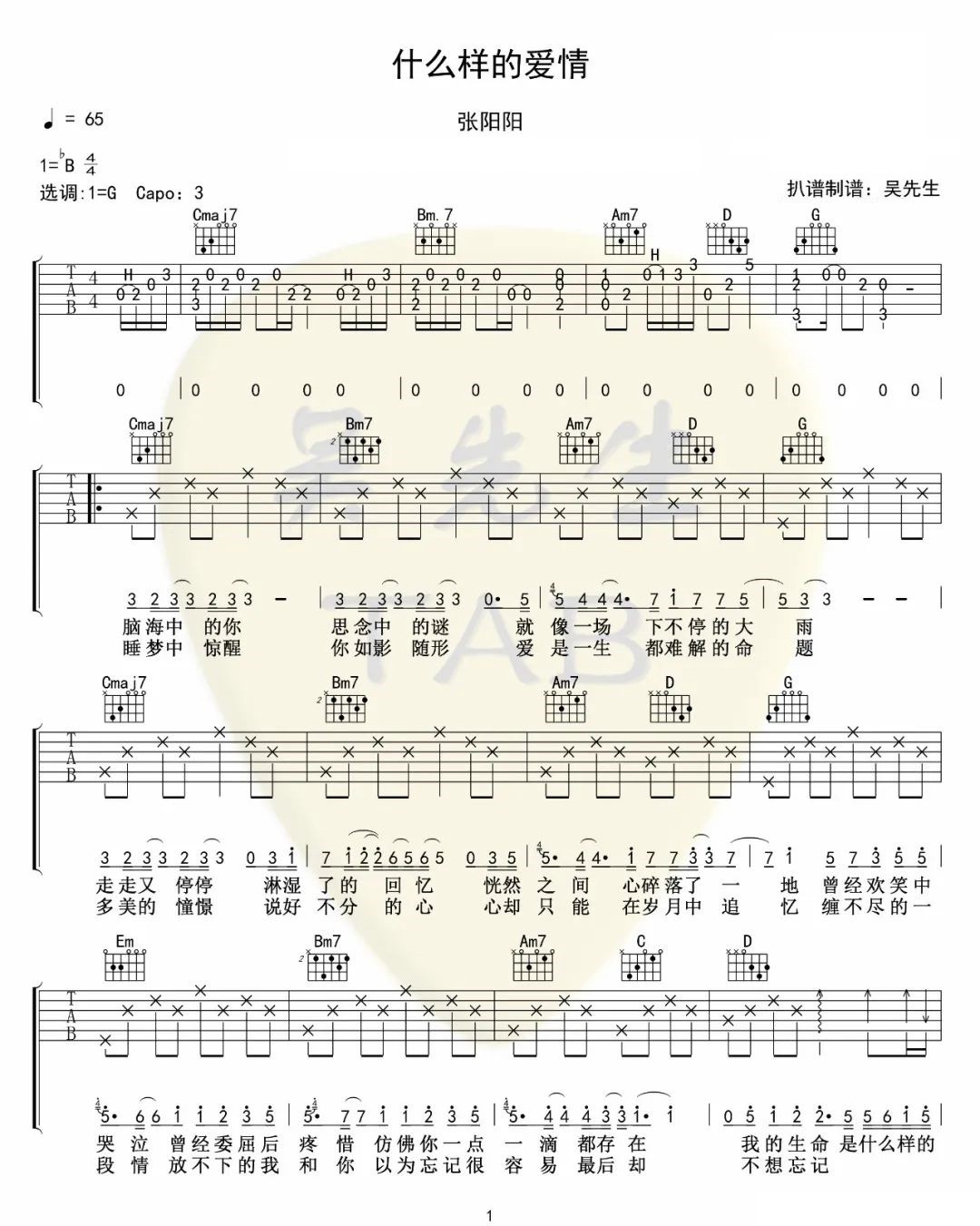 什么样的爱情吉他谱_张阳阳_G调调弦原版-图片1