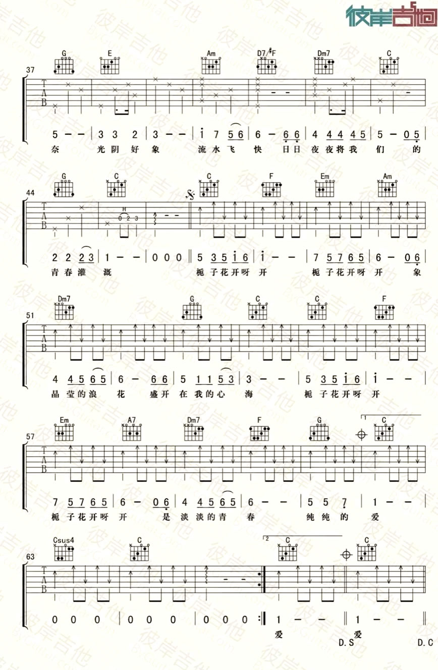 栀子花开吉他谱_何炅_C调单音版