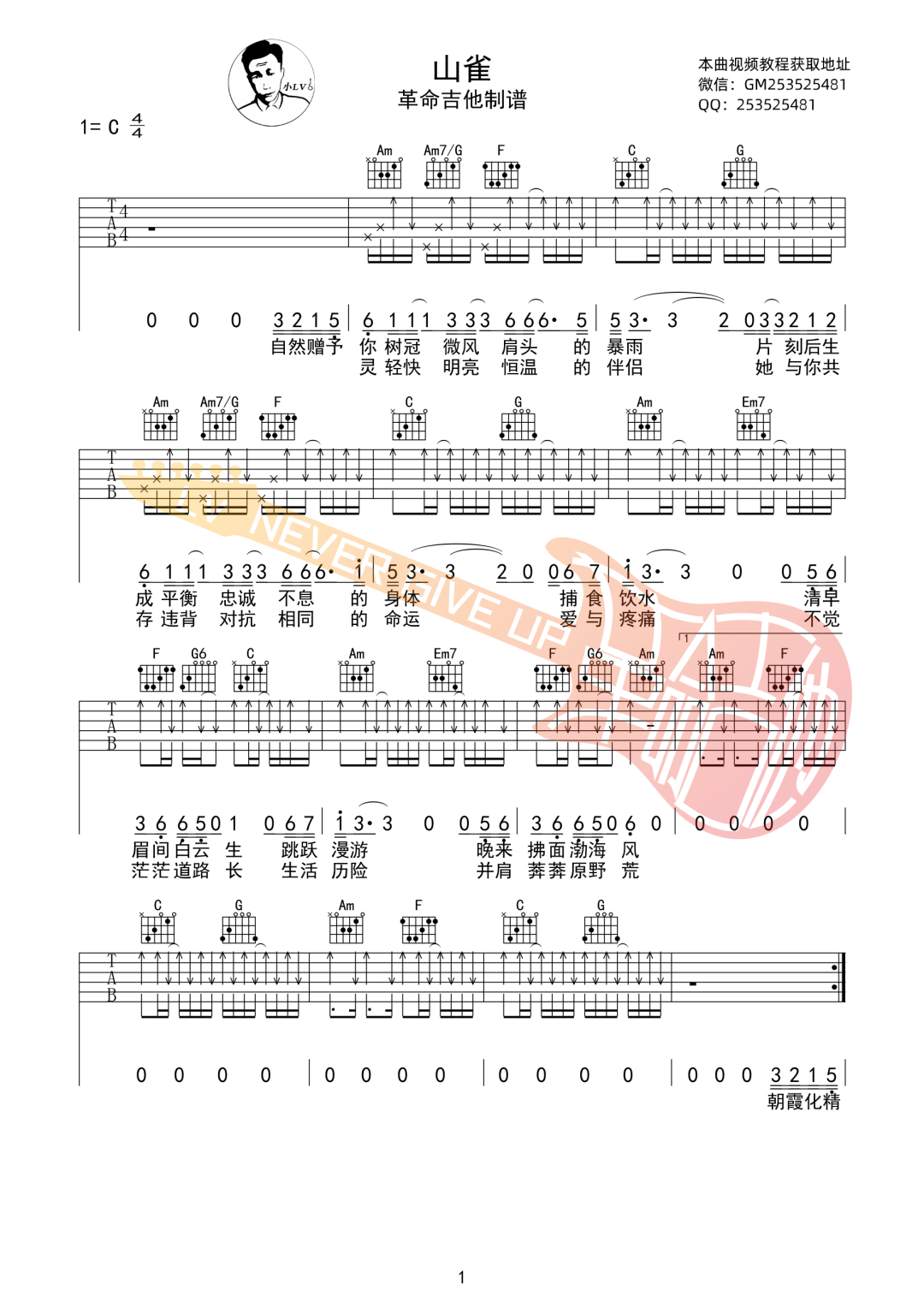 山雀吉他谱1-万能青年旅店