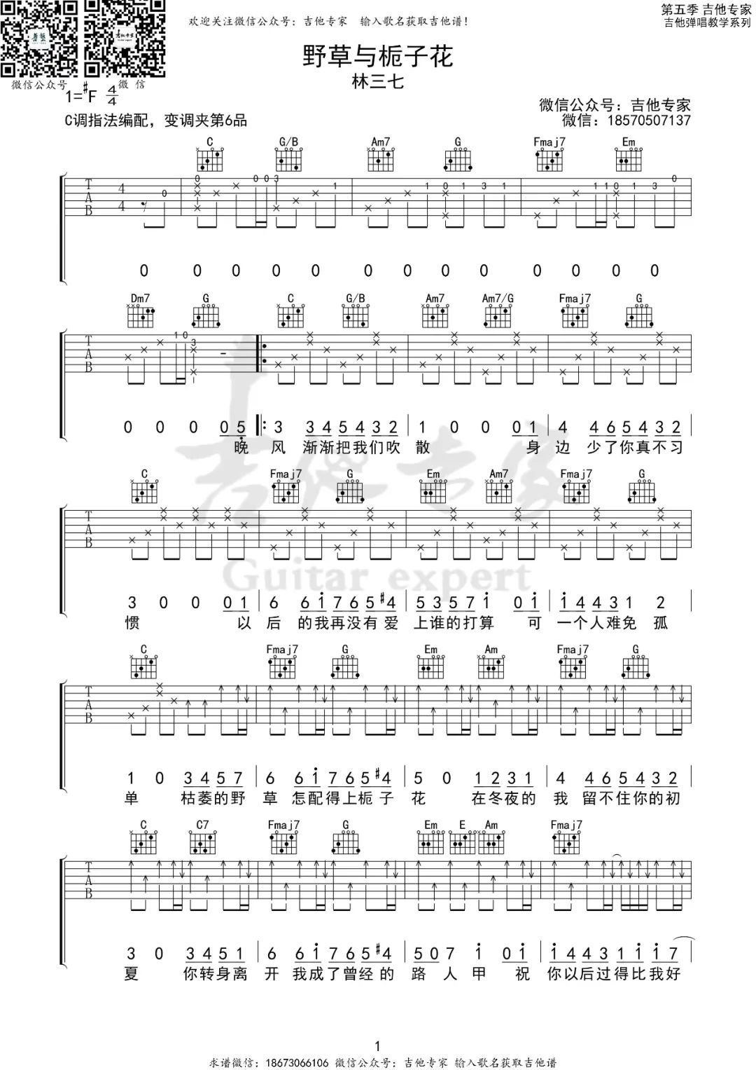 野草与栀子花吉他谱_林三七_C调单音版
