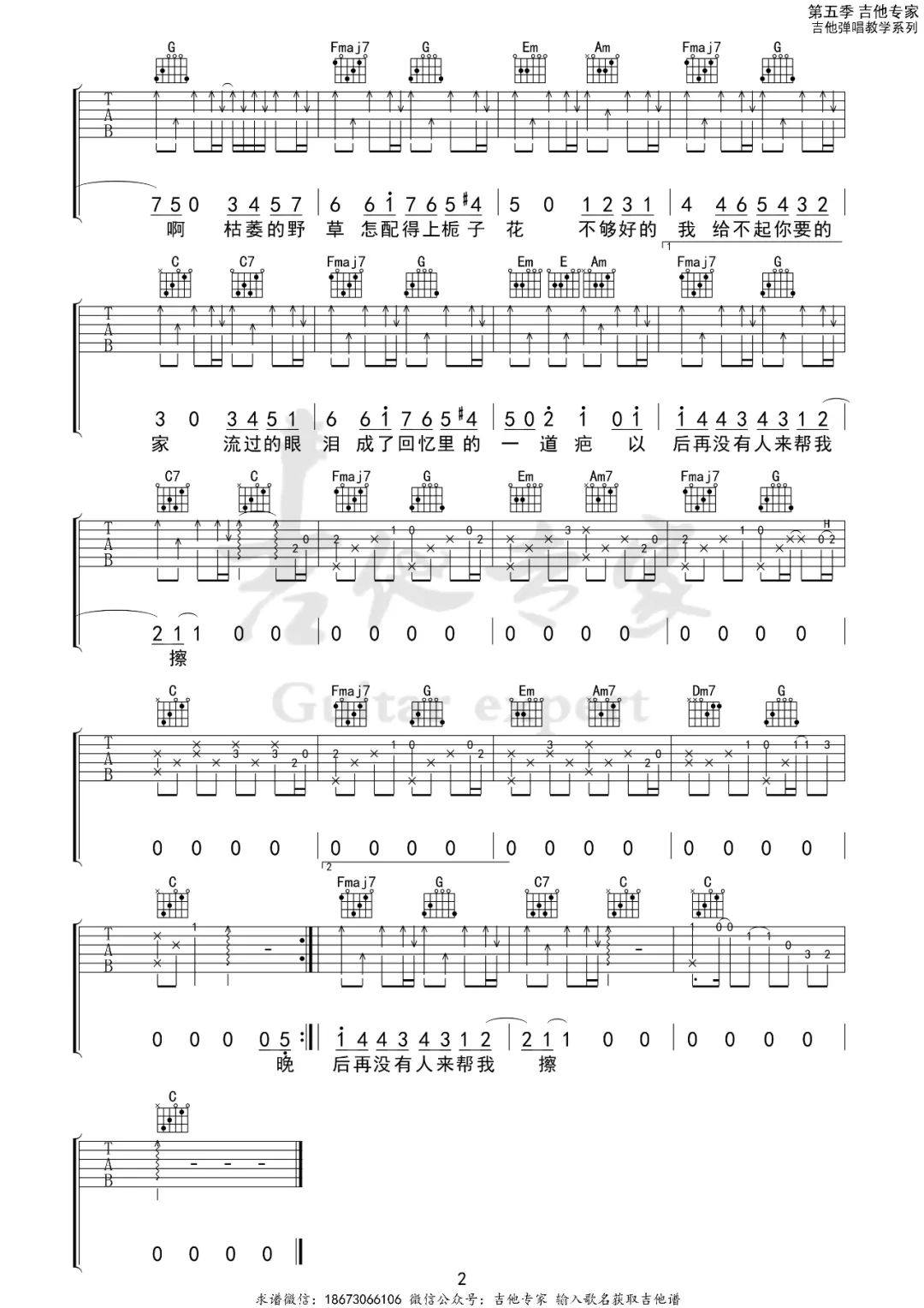 野草与栀子花吉他谱_林三七_C调单音版