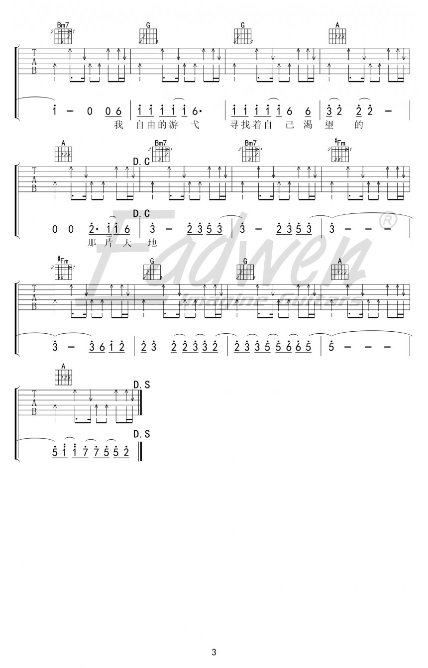 寻水的鱼吉他谱3-许飞