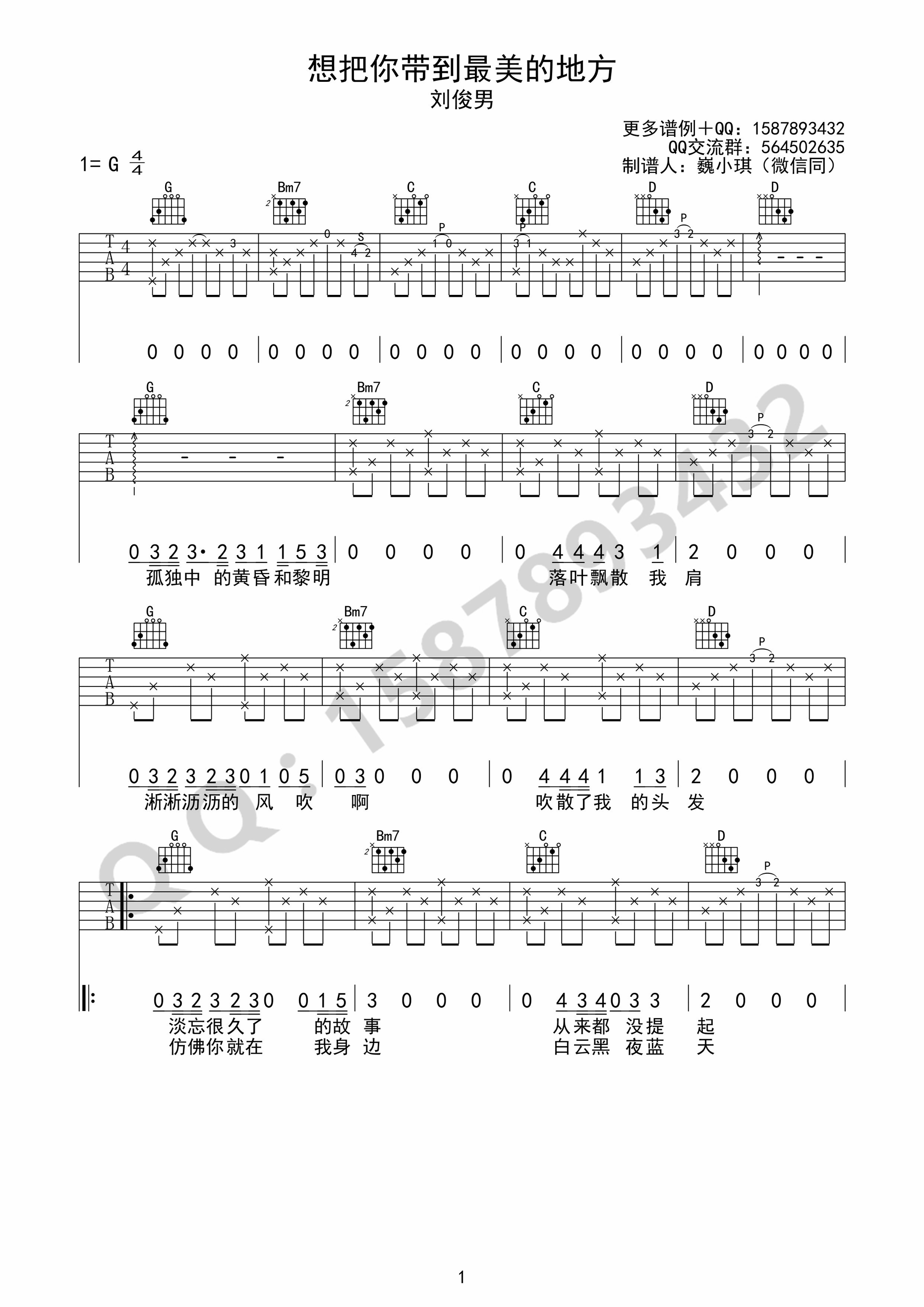 想把你带到最美的地方吉他谱_刘俊男_G调调弦版