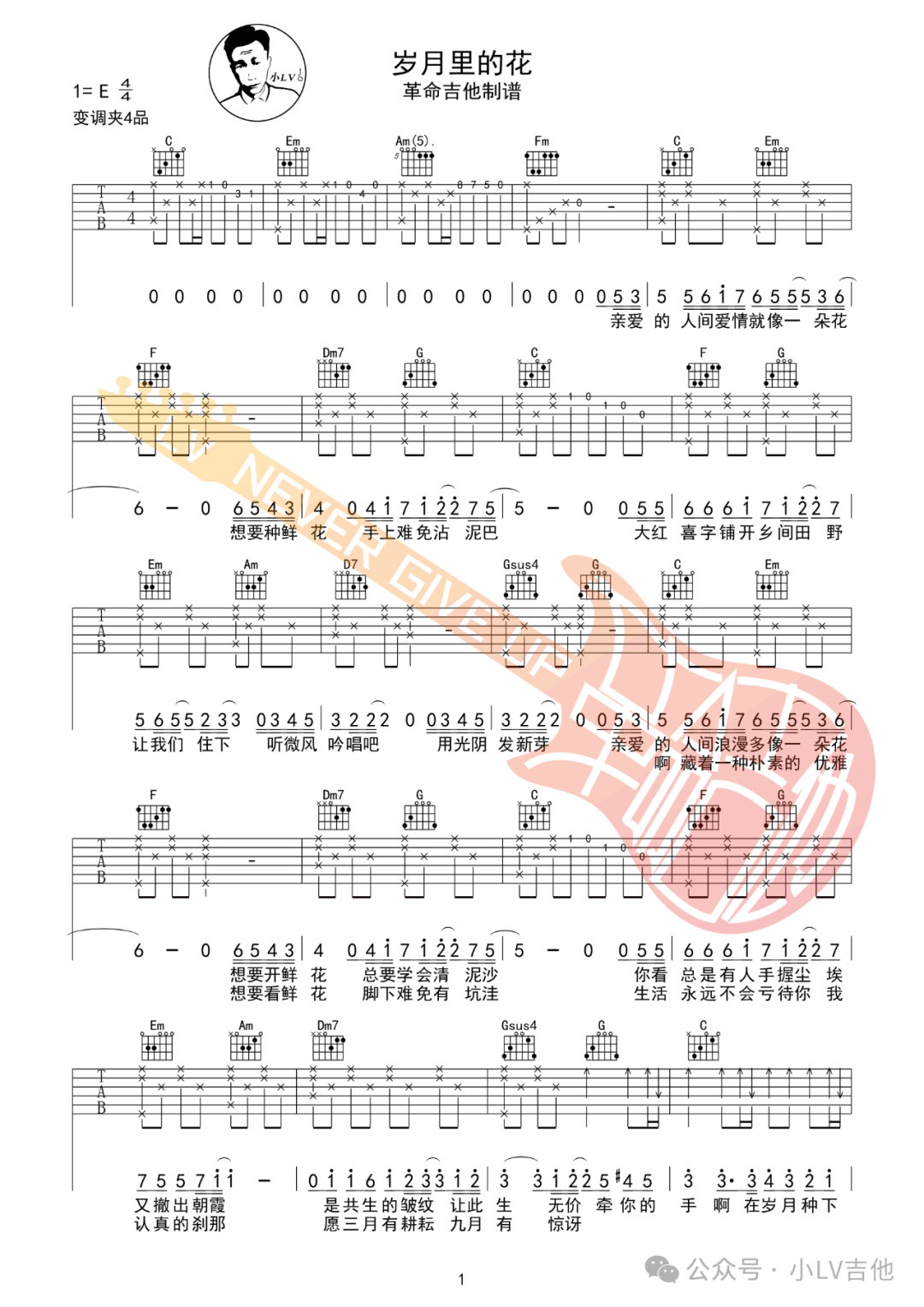 岁月里的花吉他谱1-毛不易