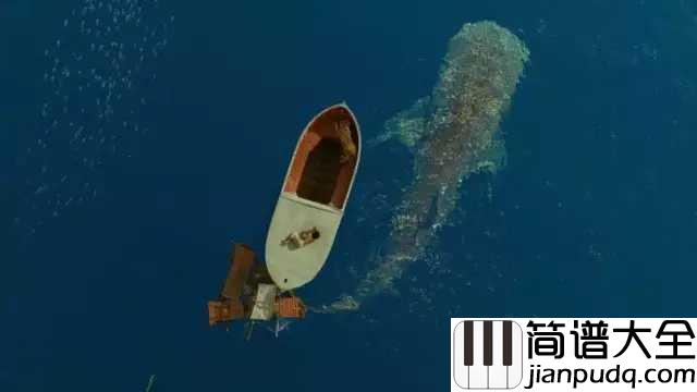 在九月结束的时候与你告别吉他谱_张罐子_我们各自走向明天，奔向漫长未来