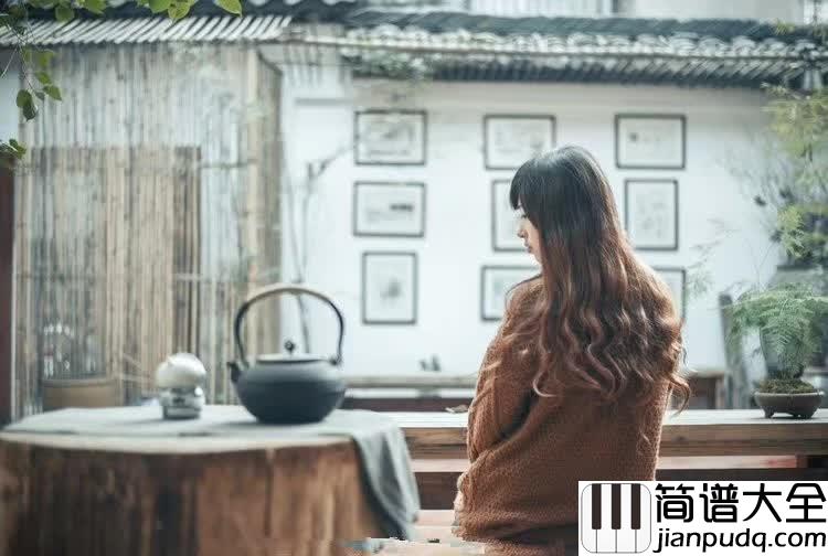 味道吉他谱_辛晓琪_想念着记忆里和你相爱的味道