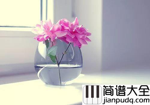 催眠曲吉他谱_贾涛戴-雨哲_每当这催眠曲响起，我又想起了你