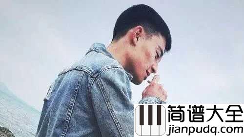 我的将军啊吉他谱_半阳_可愿柳下走满头杨花共白首