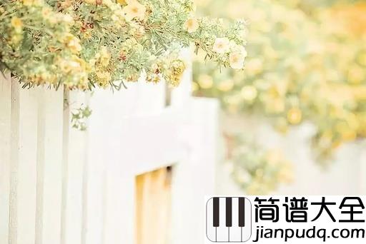 催眠曲吉他谱_贾涛戴-雨哲_每当这催眠曲响起，我又想起了你