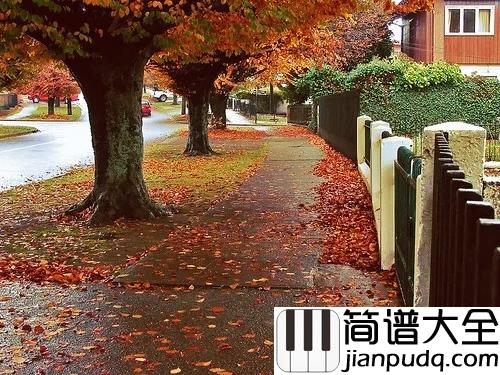 寻找吉他谱_李志_是否你也在沉默里__寻找一个像我的人