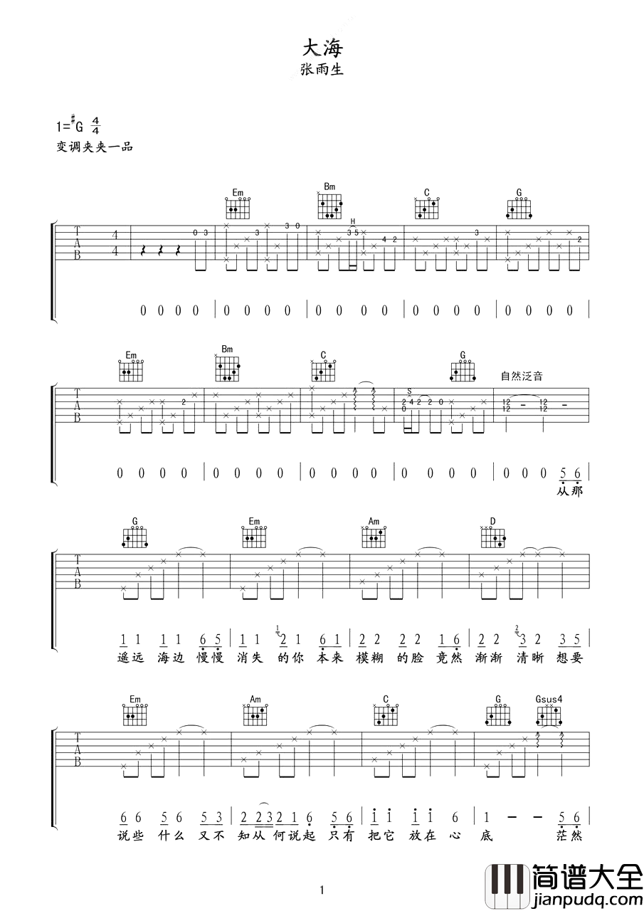 大海吉他谱_张雨生_从那遥远海边，慢慢消失的你