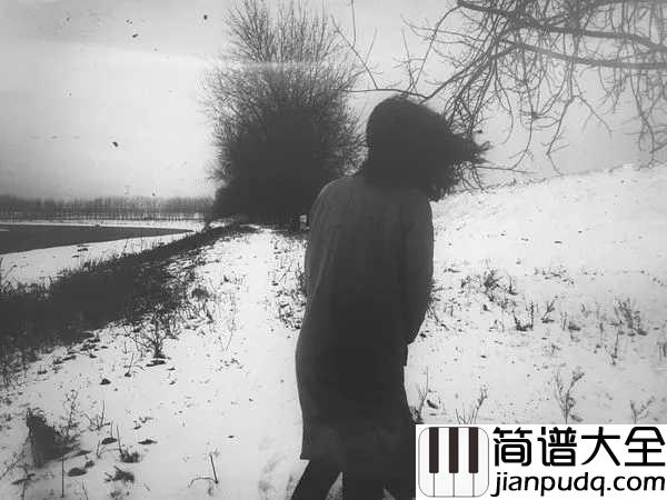 十二吉他谱_留声玩具_你是我不能拥抱的短暂理想