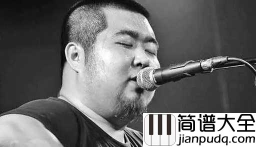 年年吉他谱_宋冬野_脸上灿灿得盛开的桃花，心底却是一片沧桑