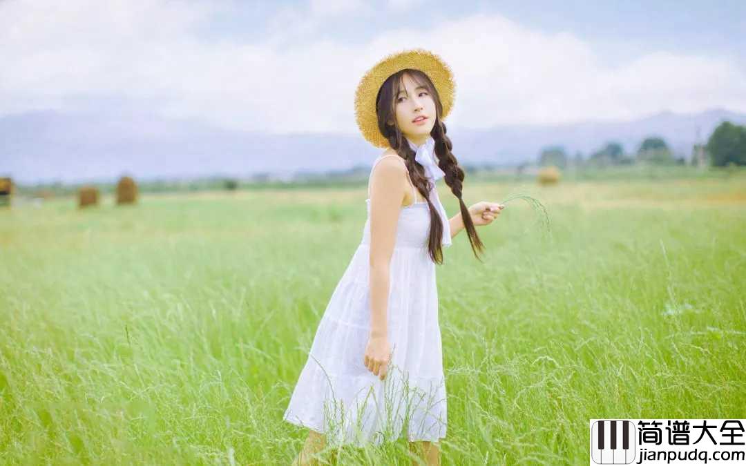 去年夏天吉他谱_王大毛_总会遇见那个对的人，错过了很可惜，用全部对她好