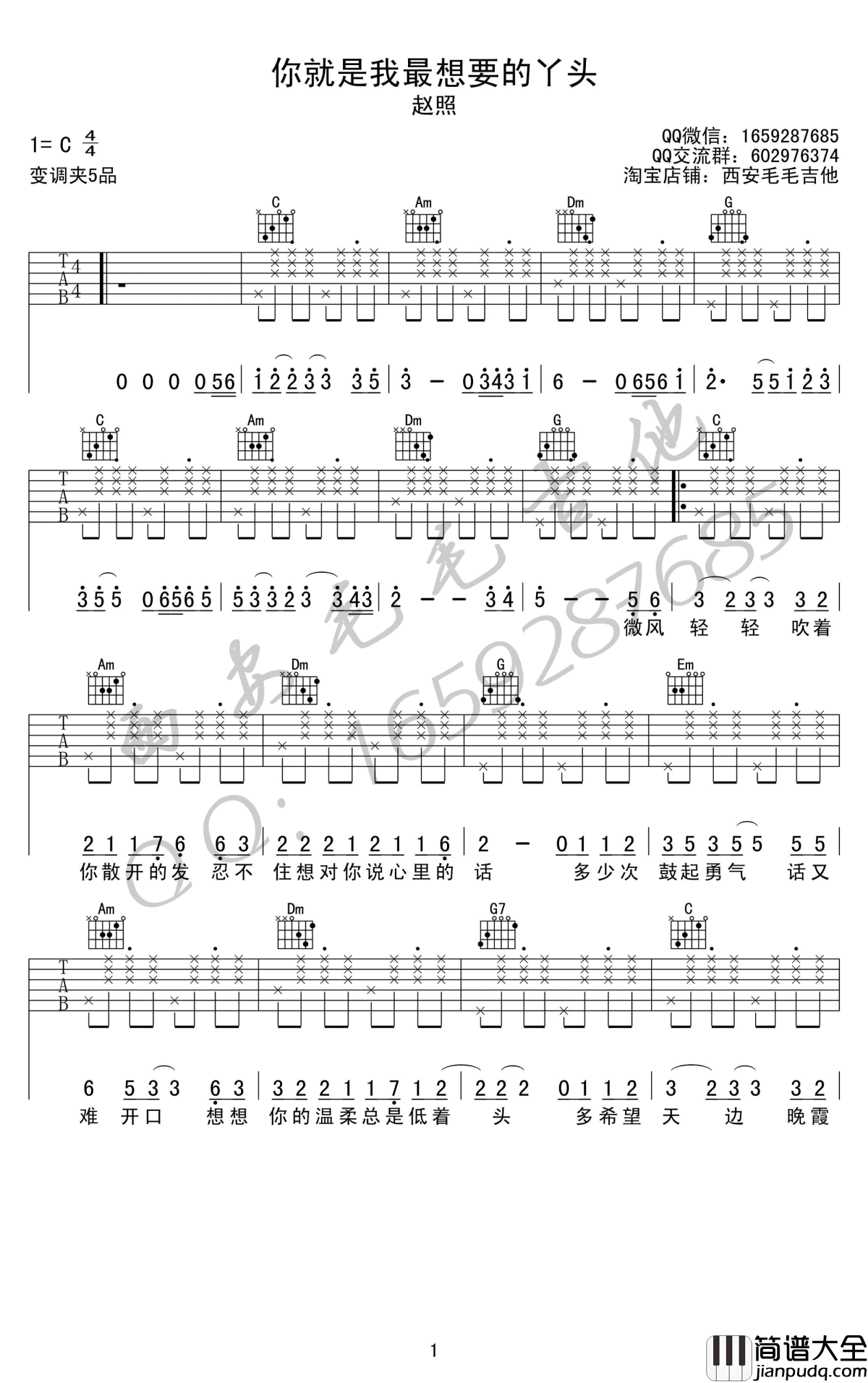 你就是我最想要的丫头吉他谱_赵照_C调_高清版