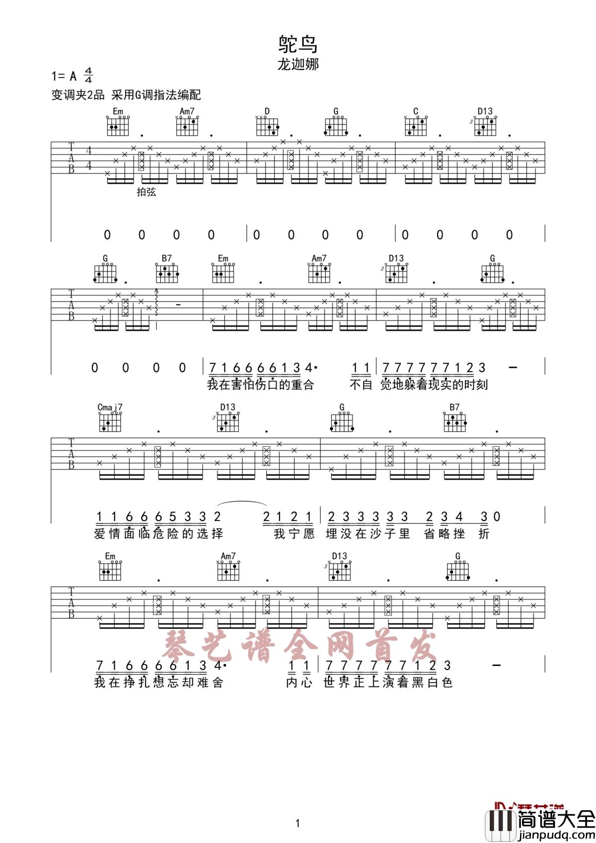 鸵鸟吉他谱_龙迦娜_我们就像是一只鸵鸟,藏在沙土里的眼泪,便是TA的整个世界