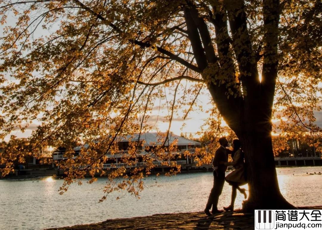 致橡树吉他谱_程天意_从来没有因为爱情的痛苦而停止去追寻爱情