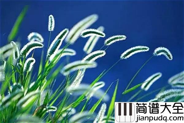 小草吉他谱_春风啊春风_你把我吹绿