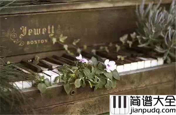 卡农吉他谱_背后有一段感人的爱情故事