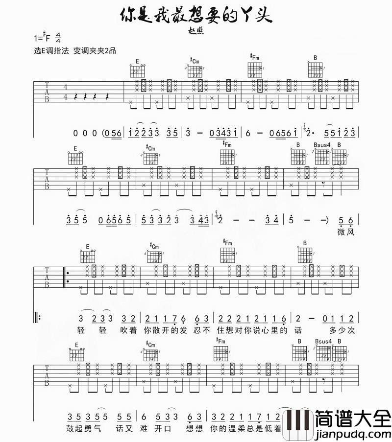 你是我最想要的丫头吉他谱_赵照_你的酒窝没有酒，我却醉的像条狗