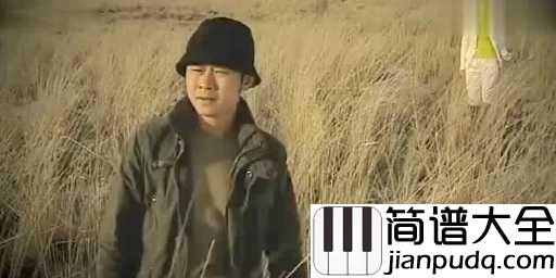 冲动的惩罚吉他谱_刀郎_一个时代，一段岁月，一段人生