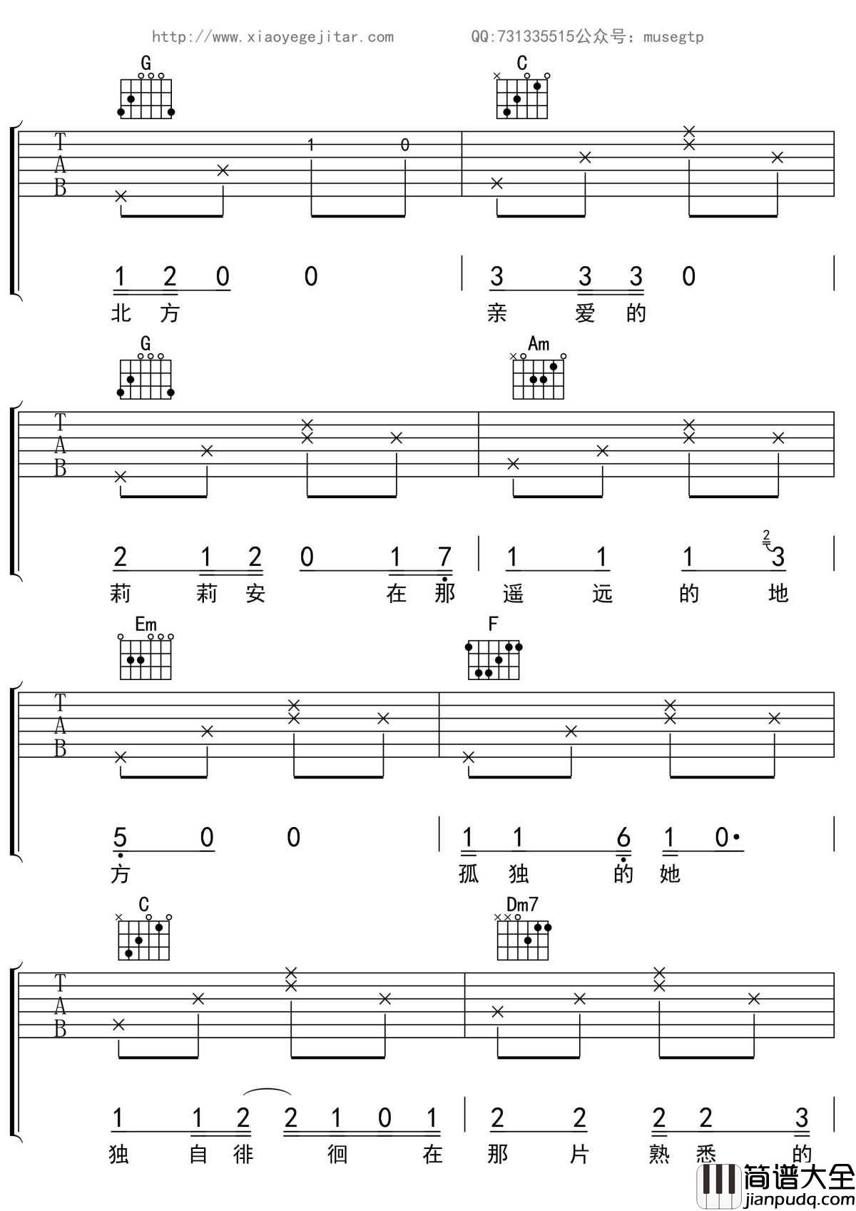 我不是你的宋冬野吉他谱_C调吉他_林启得