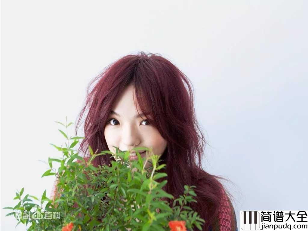 失落沙洲吉他谱__徐佳莹___我不是一定要你回来，只是当又一个人看海