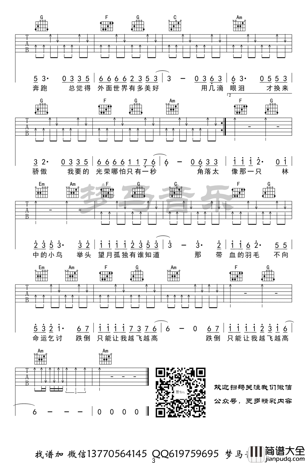 林中鸟吉他谱_葛林_C调_吉他弹唱视频
