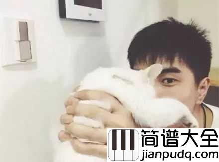 带我走吉他谱_沈以诚_我只是在这城市里，等待与你相遇，然后，带我走