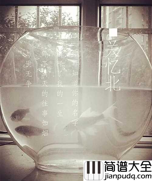 关忆北吉他谱_宋冬野_你的名字解释了我的一生